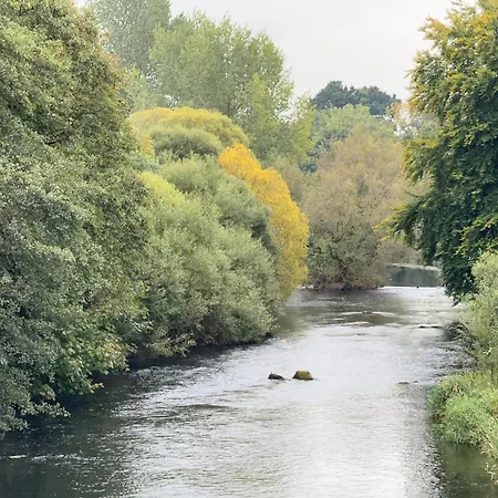 On The River At Johnsons Bar 3*
